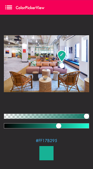 Color Picker - Palette | Get Hex Code From Images Screenshot 2