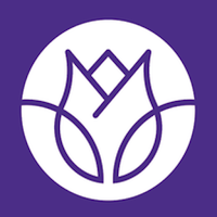 ڤيولا | Viola