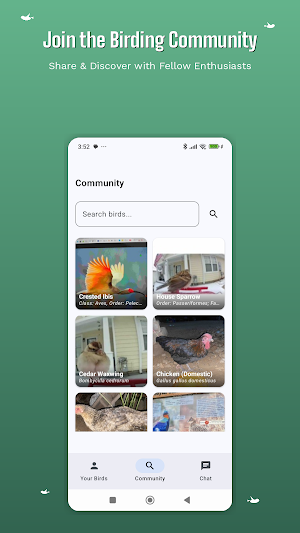 Bird Identifier - AI Photo ID Screenshot 1