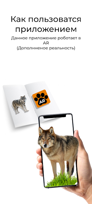 AR Жануарлар Screenshot 3