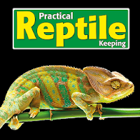 Practical Reptile Keeping Magazine