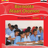 Afaan Oromoo Kutaa 11ffaa