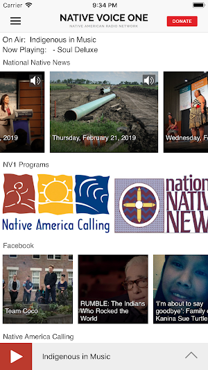 NV1 Screenshot 1