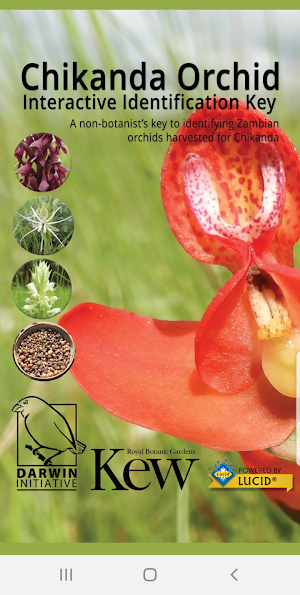 Chikanda Orchid Key Screenshot 0