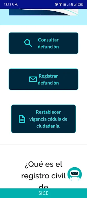 Registro de Defunción Colombia Screenshot 2
