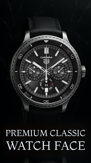 TAG Heuer Carrera Sport Screenshot 0
