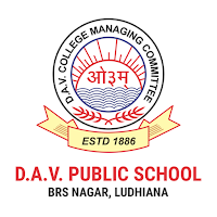 DAV Public School, BRS Nagar