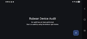 Rubean Device Audit Screenshot 2