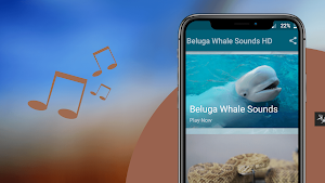 Beluga Whale Sounds Screenshot 0