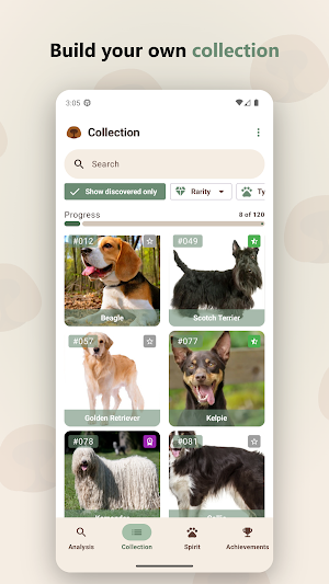 Snoutly: Discover dog breeds Screenshot 1