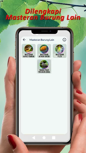 Suara Pikat Kacer Betina Gacor Screenshot 3