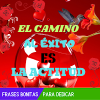 Frases Bonitas Para Dedicar