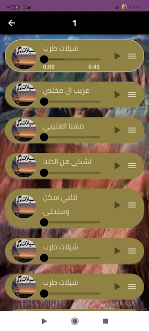 شيلات طرب 2024بدون نت Screenshot 0