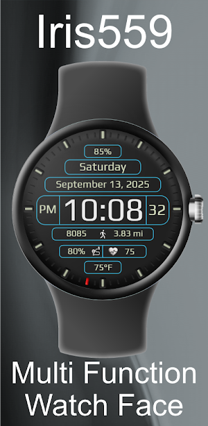 Iris559 Multi-Function Digital Screenshot 0