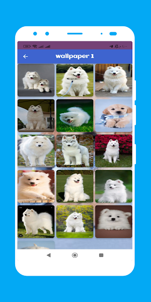 white dog wallpaper Screenshot 1
