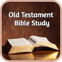 Old Testament Bible Study Book