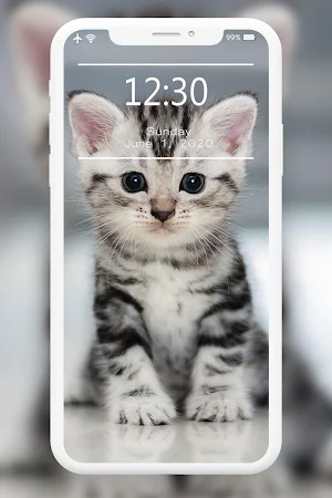 Cutest Cats Wallpaper 🐈😻 Screenshot 3