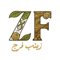 الأحياء مع زينب فرج
