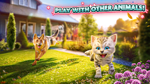 Cat Simulator 2 Screenshot 2
