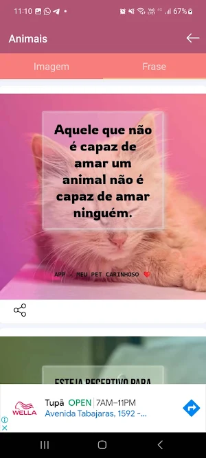 Pet Carinhoso Screenshot 1