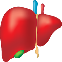 Hepatitis B Interactive