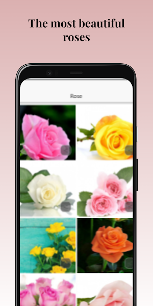 Mother's Day Amazing Flowers Screenshot 2
