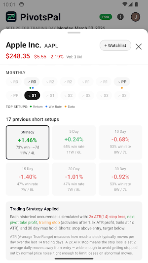 PivotsPal Screenshot 3