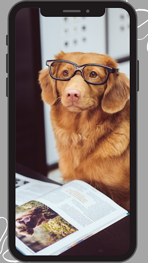 Office HD Wallpapers Screenshot 1