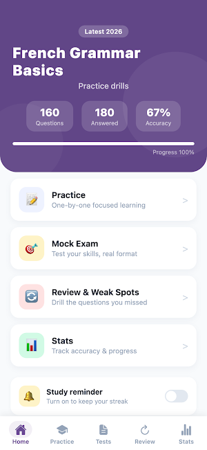 French Grammar Basics Practice Screenshot 0