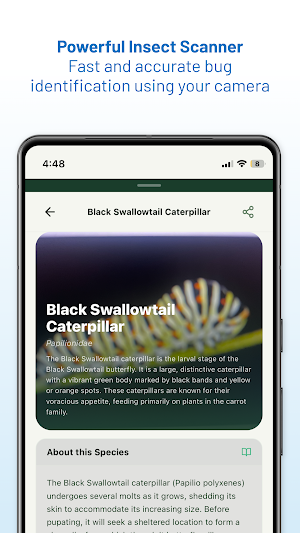 Bug Identifier By Picture Screenshot 2