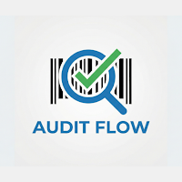 Singhal V Associates - Audit