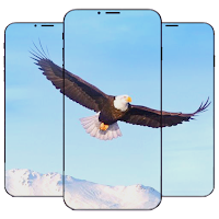 Eagle Bird Wallpaper