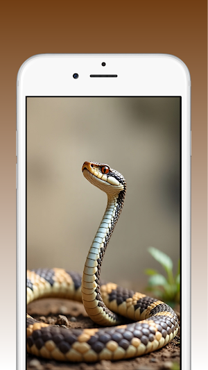 Snake Wallpapers HD Screenshot 2