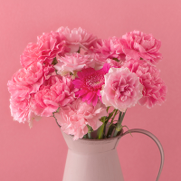 Pink Carnations Theme +HOME