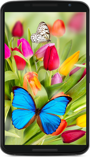 butterfly wallpaper Screenshot 3