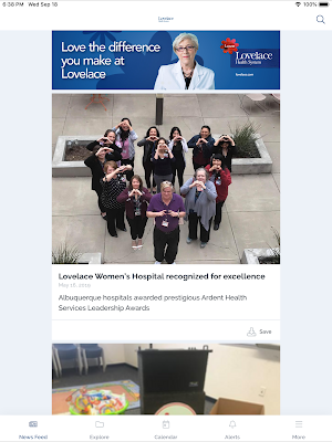 Lovelace Connect Screenshot 3