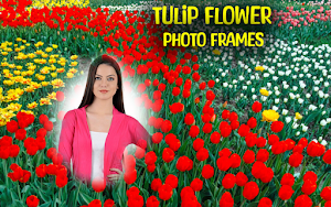 Tulip Flower Photo Frames Screenshot 1