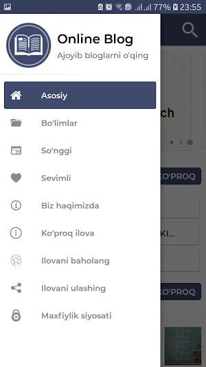 Online blog Screenshot 1