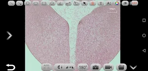 SKYE View 3 Screenshot 3