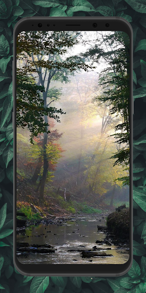 Aesthetic Forest Wallpaper 4K Screenshot 3