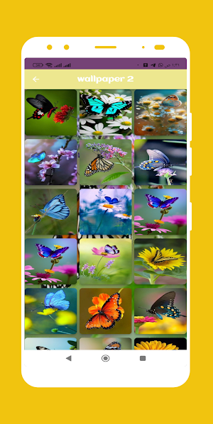 Butterfly wallpaper Screenshot 2