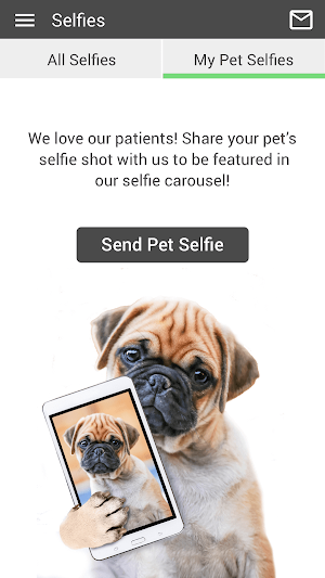 Mallard Creek Animal Hospital Screenshot 3