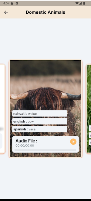 Nahuatl with Axolotl Screenshot 1