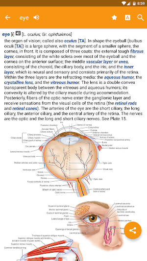 Dorland's Illustrated Medical Dictionary Screenshot 0