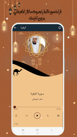 البقرة للقارئ المعيقلي بدون نت Screenshot 2