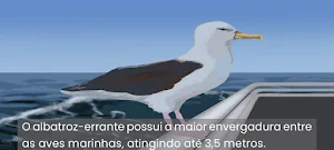 Errantes dos céus Screenshot 0