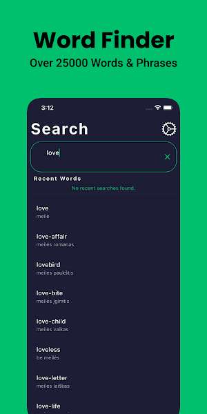 Lithuanian Dictionary English Screenshot 2