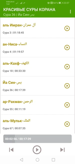 САМЫЕ КРАСИВЫЕ СУРЫ КОРАНА. MP3. БЕЗ ИНТЕРНЕТА. Screenshot 1