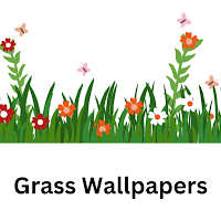 Grass Wallpapers