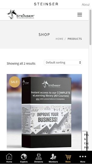 Steinser Group Screenshot 3